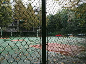 勾花（体育场）护栏网09