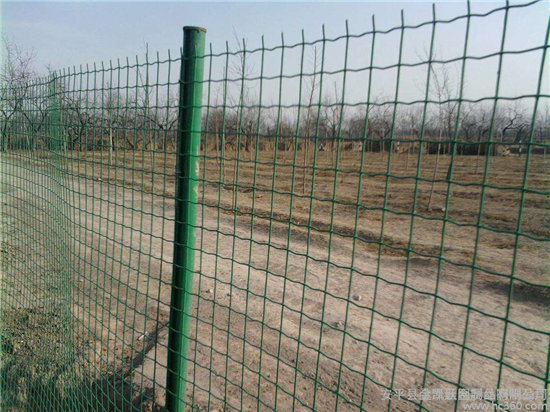 荷兰网（养殖）护栏网系列2