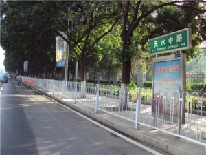 市政马路护栏系列03